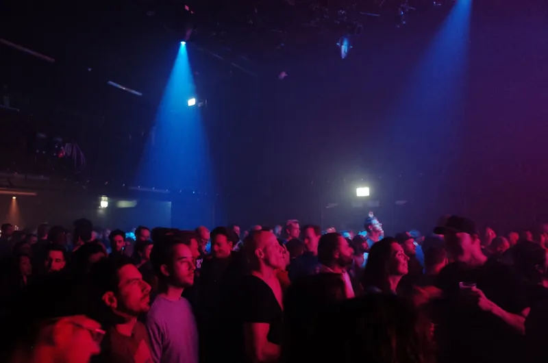 people having fun during a concert at a music venue